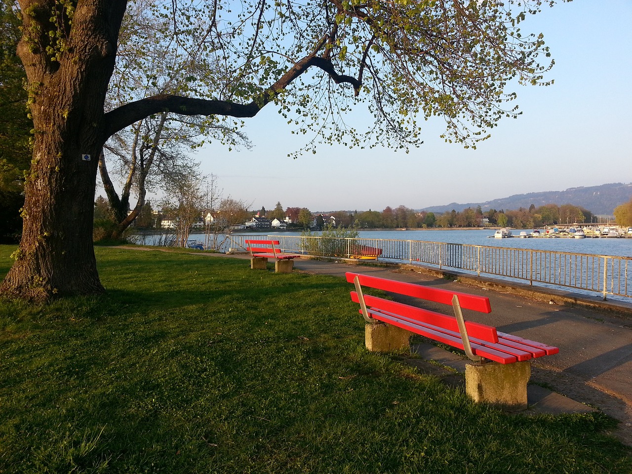 她在个人混 她在个人混