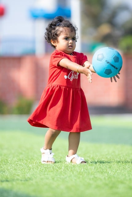 亚历山大的 亚历山大的