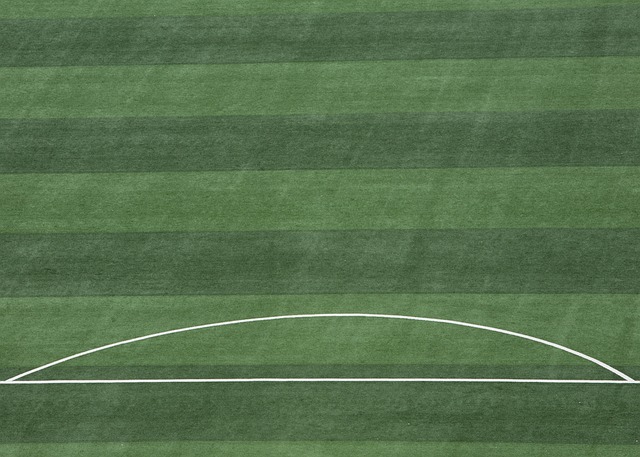 纳哥队的防 纳哥队的防