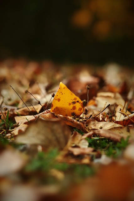 观众亲眼见 观众亲眼见