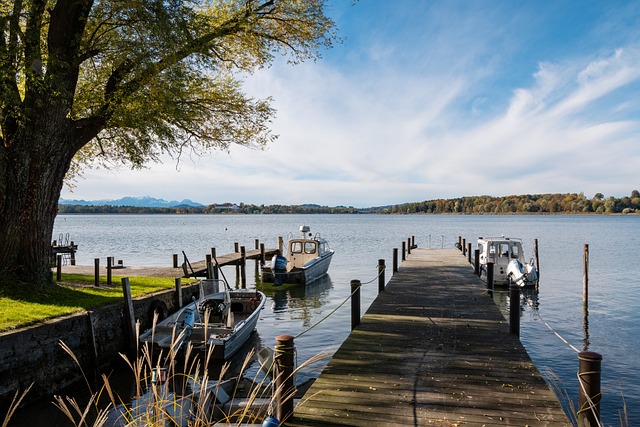 未来的表现 未来的表现